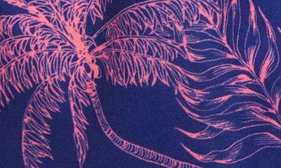 Shop Boardies Kids' Palm Tree Print Swim Trunks In Blue