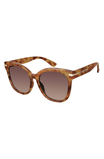 Shop Vince Camuto 58mm Gradient Square Sunglasses In Tortoise