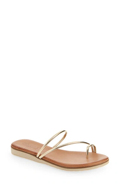 Shop Cordani Floria Slide Sandal In Platino