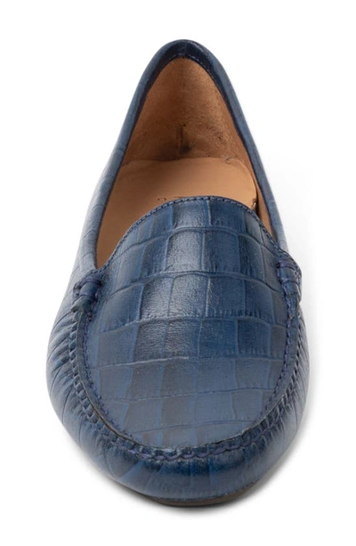 Patricia Green Jillian Driving Moccasin Shoes In Navy Crocodile