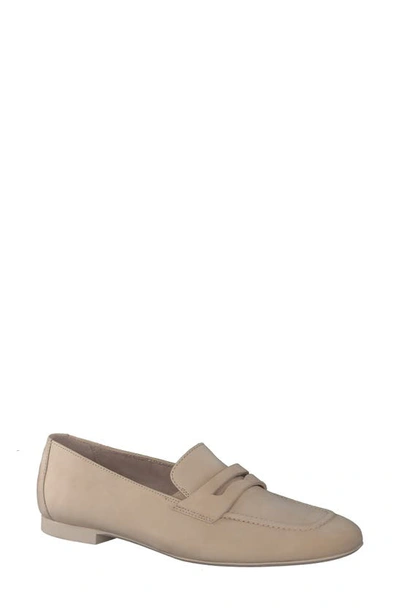 Shop Paul Green Natalie Penny Loafer In Sabbia Nubuk