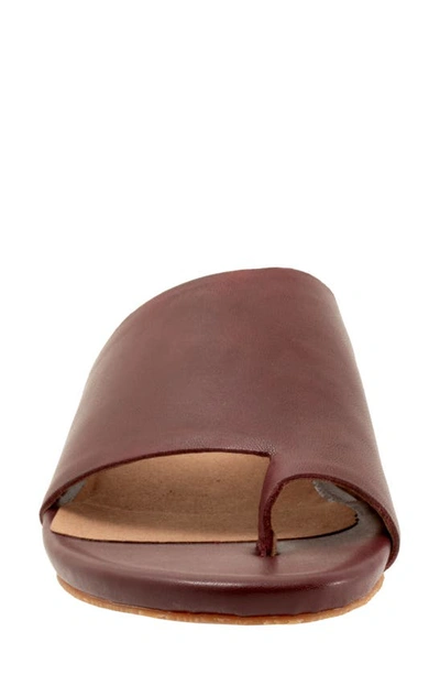 Softwalk Corsica Slide Sandal In Mahogany