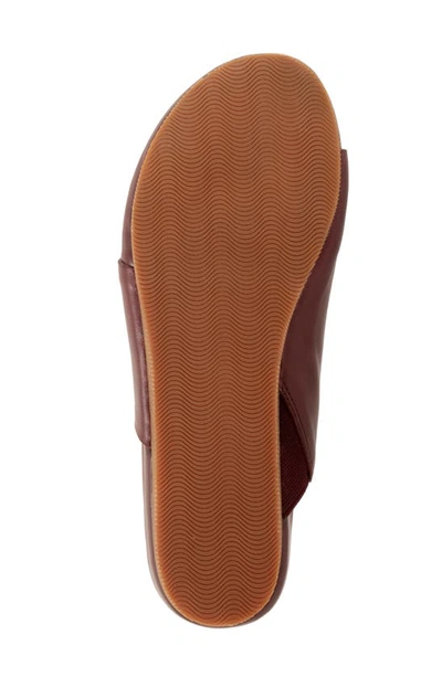 Softwalk Corsica Slide Sandal In Mahogany