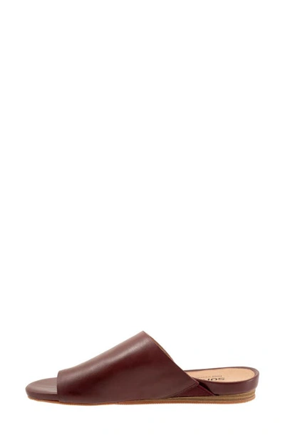 Softwalk Corsica Slide Sandal In Mahogany