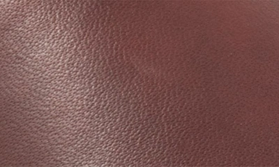 Softwalk Corsica Slide Sandal In Mahogany