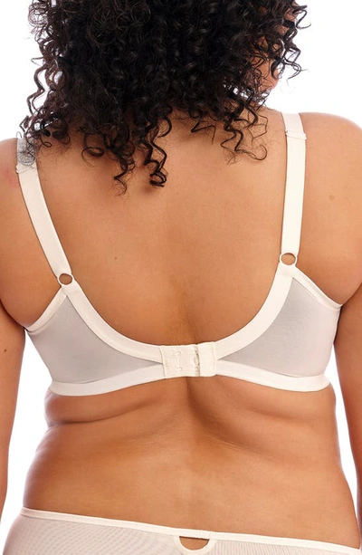 Shop Elomi Priya Full Figure Underwire Plunge Bra In Vanilla