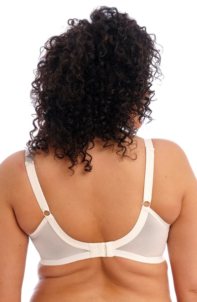 Elomi Priya Full Figure Underwire Plunge Bra In Vanilla