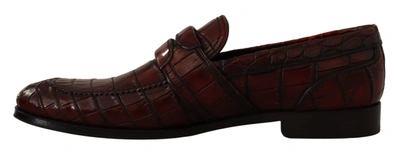 Shop Dolce & Gabbana Bordeaux Exotic Leather Dress Derby  Men's Shoes