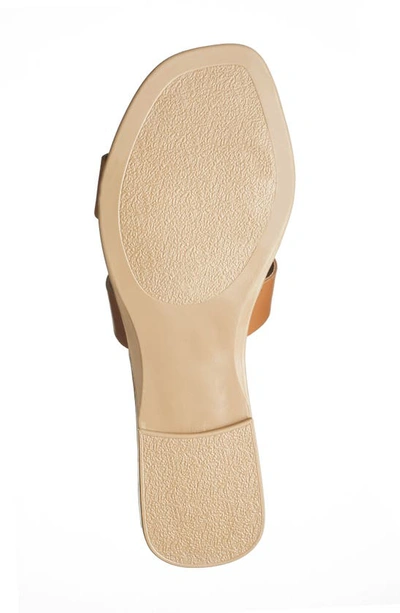 Shop Steve Madden Composure Slide Sandal In Cognac Leather