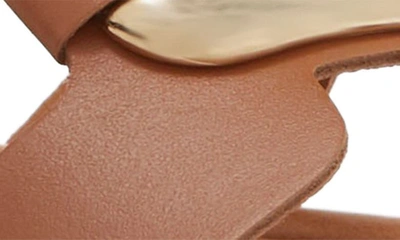 Shop Steve Madden Composure Slide Sandal In Cognac Leather