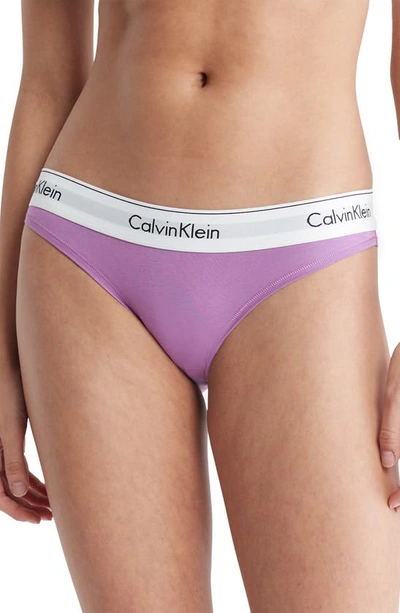 Shop Calvin Klein Modern Cotton Bikini In Iris Orchid