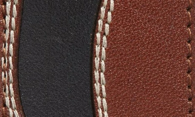 Shop Dries Van Noten Colorblock Leather Belt In 712 - Tan