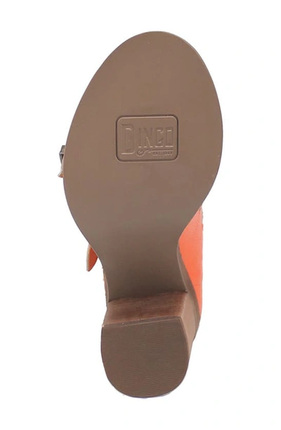 Shop Dingo Ziggy Sandal In Orange