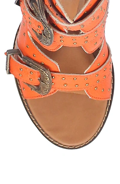 Shop Dingo Ziggy Sandal In Orange