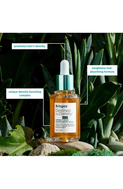 Briogeo Destined For Density Peptide Hair Serum For Thicker, Fuller Hair 1.5 oz / 45 ml