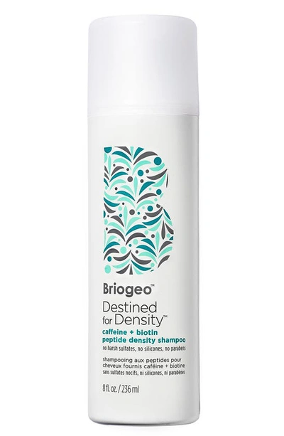 Shop Briogeo Destined For Density™ Caffeine + Biotin Peptide Density Shampoo, 8 oz
