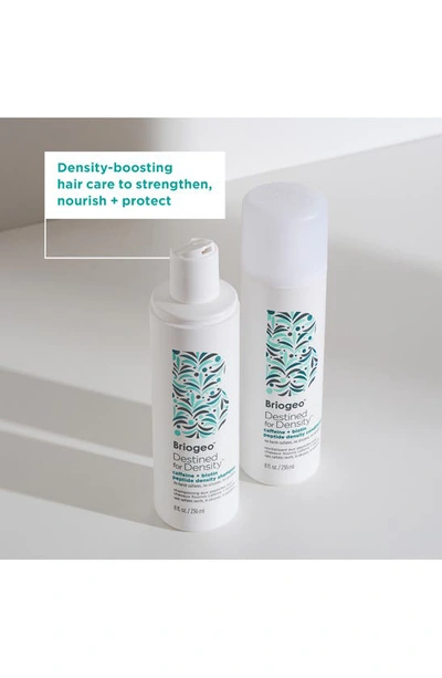 Briogeo Destined For Density Peptide Shampoo For Thicker, Fuller Hair 8 oz / 236 ml