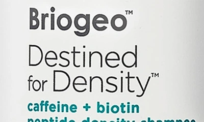 Shop Briogeo Destined For Density™ Caffeine + Biotin Peptide Density Shampoo, 8 oz