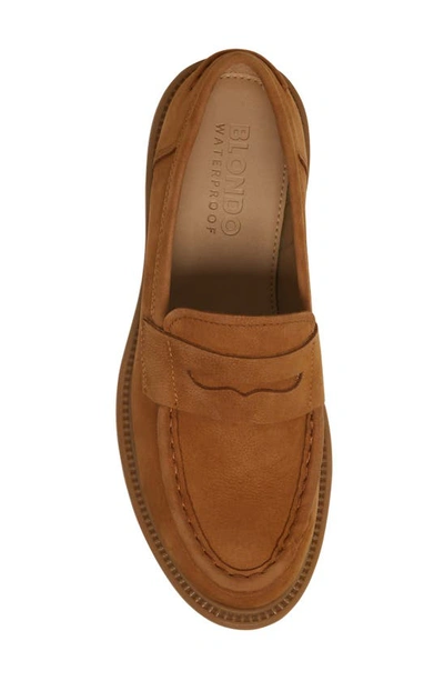 Shop Blondo Halo Waterproof Loafer In Tan Nubuck