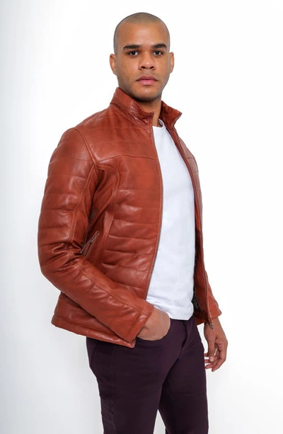 Shop Pino By Pinoporte Quilted Leather Jacket In Tobacco