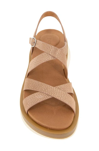 Shop Gentle Souls By Kenneth Cole Rebha Strappy Wedge Sandal In Clay Nubuck