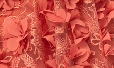 Shop Helsi Sidney Long Sleeve Floral Minidress In Coral