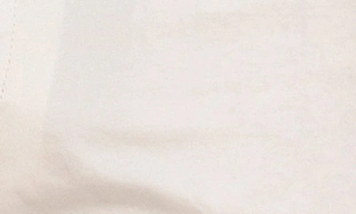 Robert Graham Lonestar Stretch Cotton Shorts In White