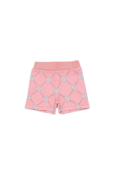 Shop Marni Peach Pink Cotton Shorts With Daisy Pattern