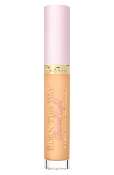 Shop Too Faced Born This Way Ethereal Light Concealer In Biscotti