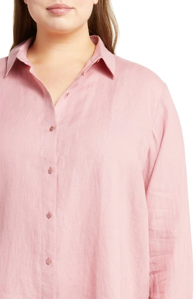 Shop Eileen Fisher Classic Collar Easy Linen Button-up Shirt In Magnolia