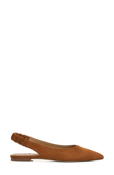Shop Sam Edelman Whitney Pointed Toe Flat In Brown Suede