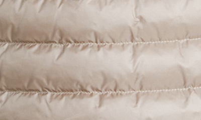 Moncler Oredonne Long Down Jacket In Beige