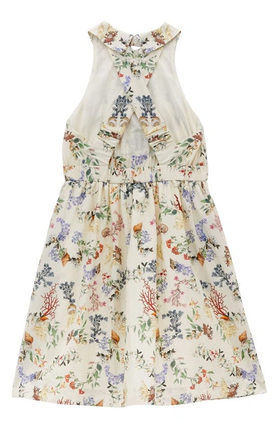 Shop Burberry Kids' Rhoda Coral Print Cotton & Silk Dress In Pale Cream Ip Pttn