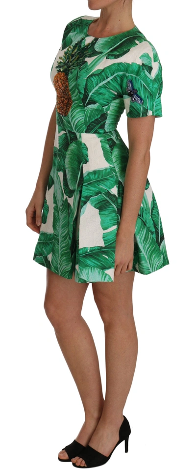 Shop Dolce & Gabbana A-line Banana Leaf Pineapple Crystal Women's Dress In Green