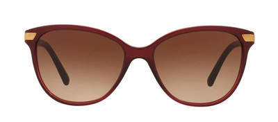Shop Burberry 0be4216 300213 Cat Eye Sunglasses In Brown