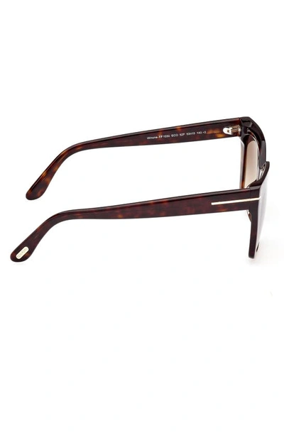 Shop Tom Ford Winona 53mm Gradient Cat Eye Sunglasses In Shiny Havana / Gradient Brown