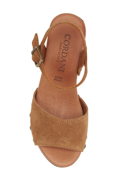 Shop Cordani Willa Platform Sandal In Clove