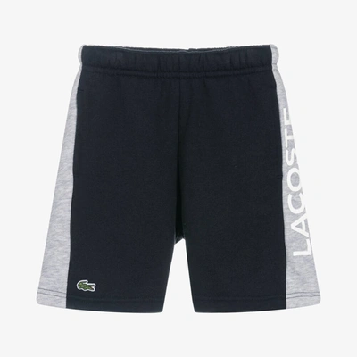 Shop Lacoste Navy Blue & Grey Stripe Shorts