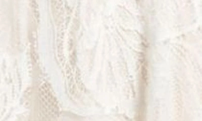 Shop Tadashi Shoji Lace & Mesh Midi Cocktail Dress In Ivory/ Petal