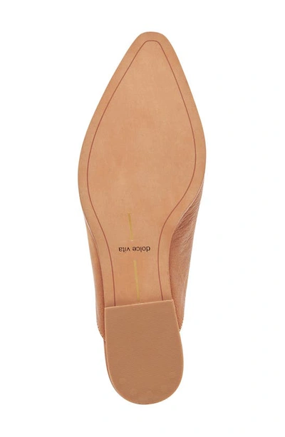 Shop Dolce Vita Sidon Pointed Toe Mule In Brown Leather