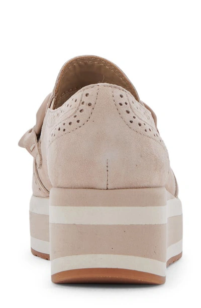 Shop Dolce Vita Jhenee Platform Sneaker In Dune Suede