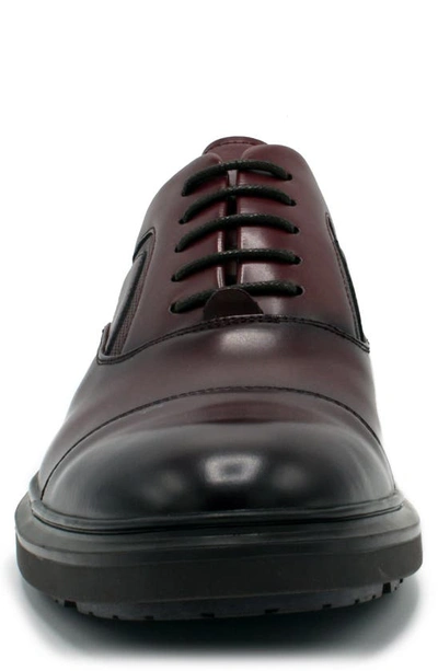 Shop Aston Marc Tuscan Cap Toe Oxford In Maroon