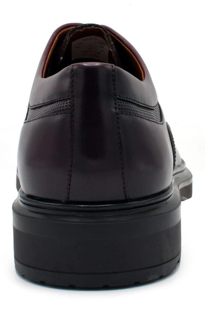 Shop Aston Marc Tuscan Cap Toe Oxford In Maroon