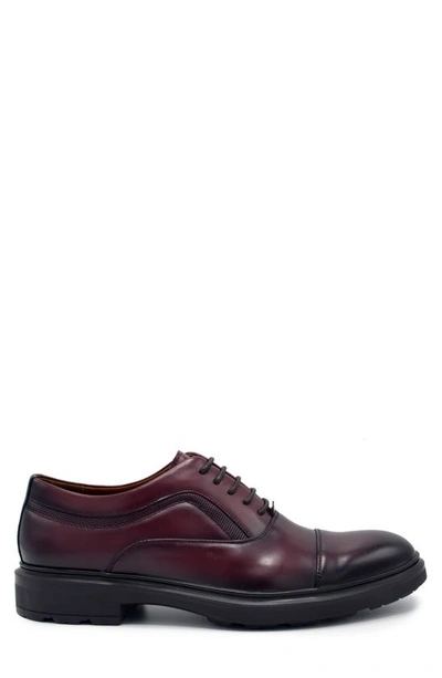 Shop Aston Marc Tuscan Cap Toe Oxford In Maroon