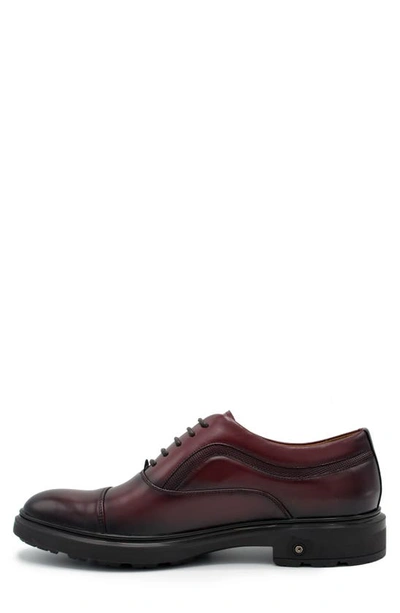 Shop Aston Marc Tuscan Cap Toe Oxford In Maroon