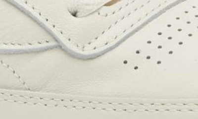 Reebok Club C 85 Vintage Leather Sneakers In Top-chalk/ Paperwhite/ Glen
