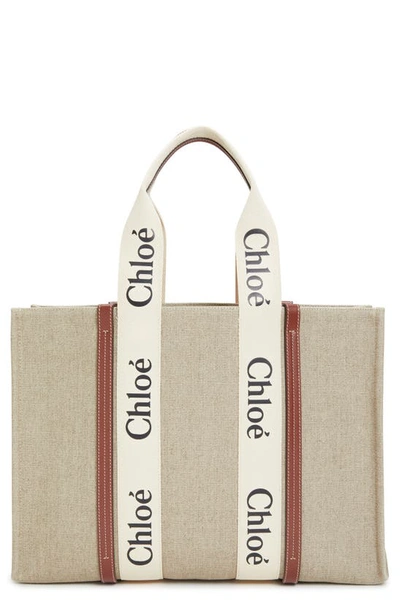 Chloé Woody Bag In White - Brown 1
