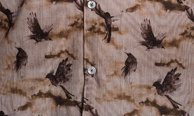 Shop Jared Lang Bird Print Short Sleeve Button-up Shirt In Brown