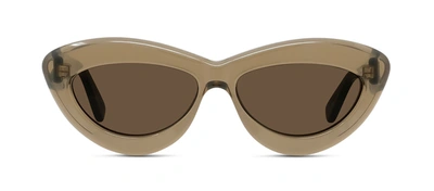 Shop Loewe Curvy Lw 40096i 96e Cat Eye Sunglasses In Brown