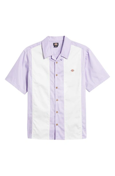 Shop Dickies Westover Stripe Short Sleeve Camp Shirt In Purple Rose